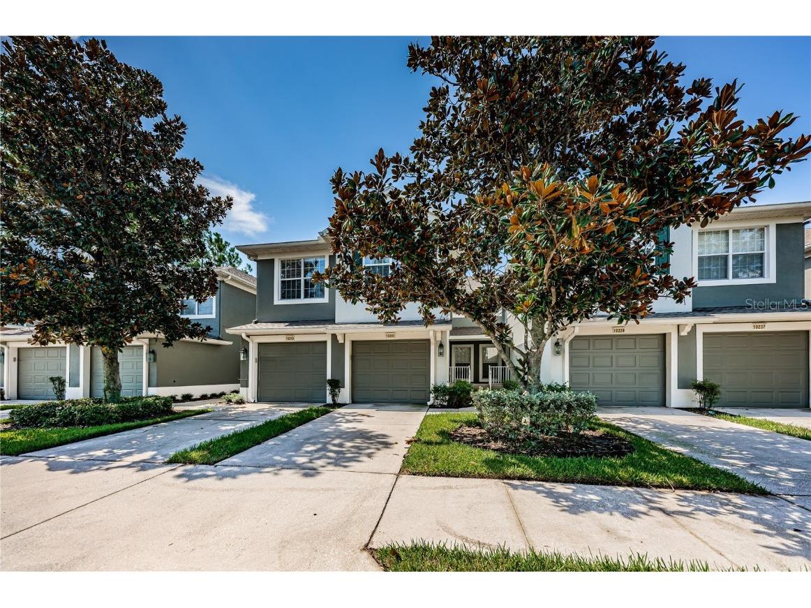 10241 Spanish Breeze Court #10241 Riverview FL 33578 T3546029 image1