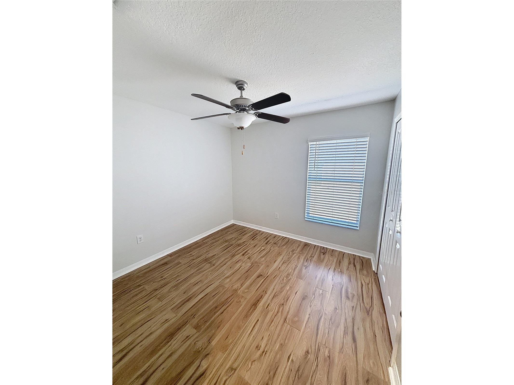 10241 Strawberry Tetra Drive Riverview FL 33578 TB8486724 image14