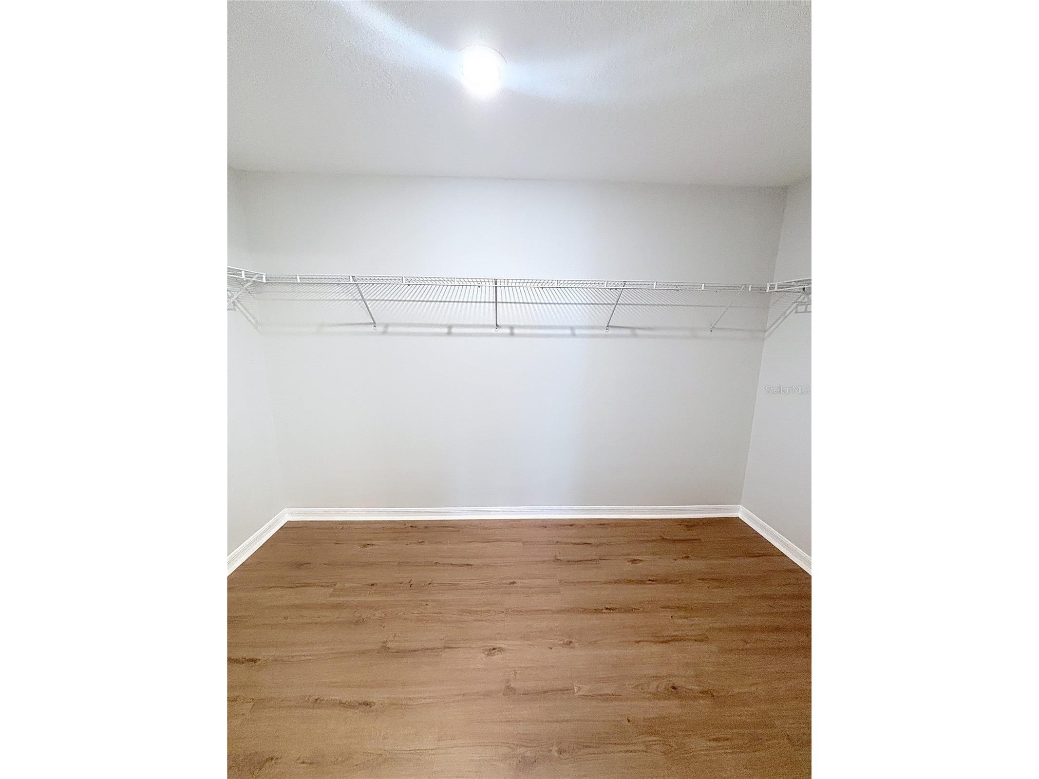 10241 Strawberry Tetra Drive Riverview FL 33578 TB8486724 image20