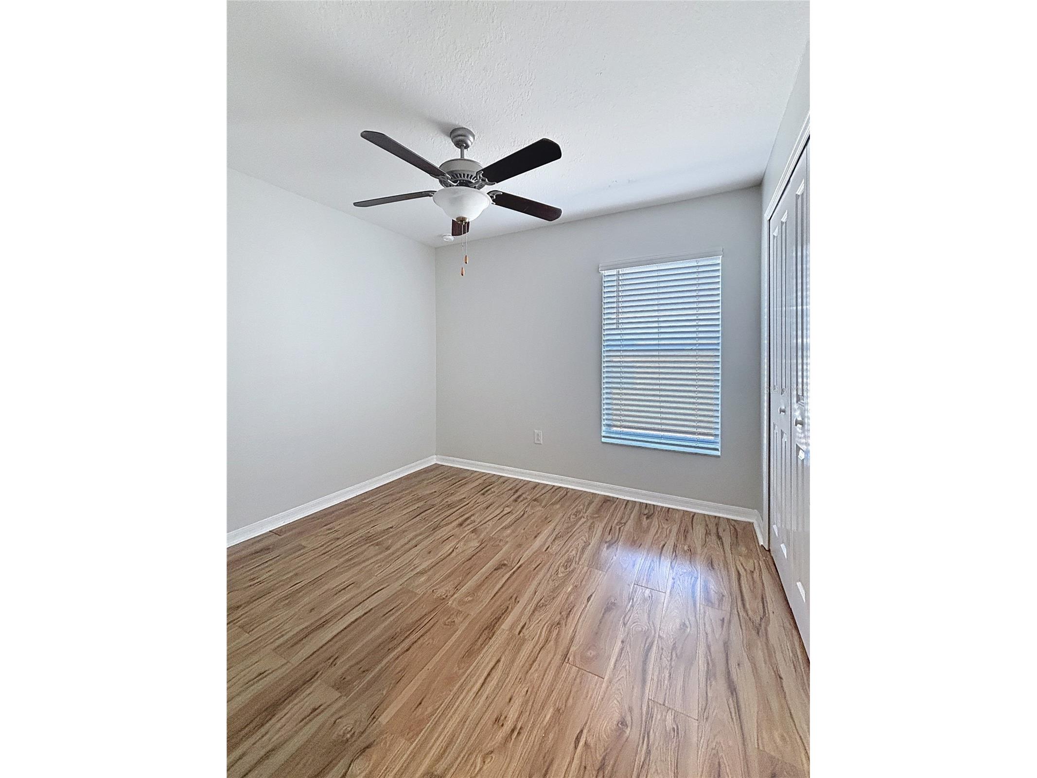 10241 Strawberry Tetra Drive Riverview FL 33578 TB8486724 image22