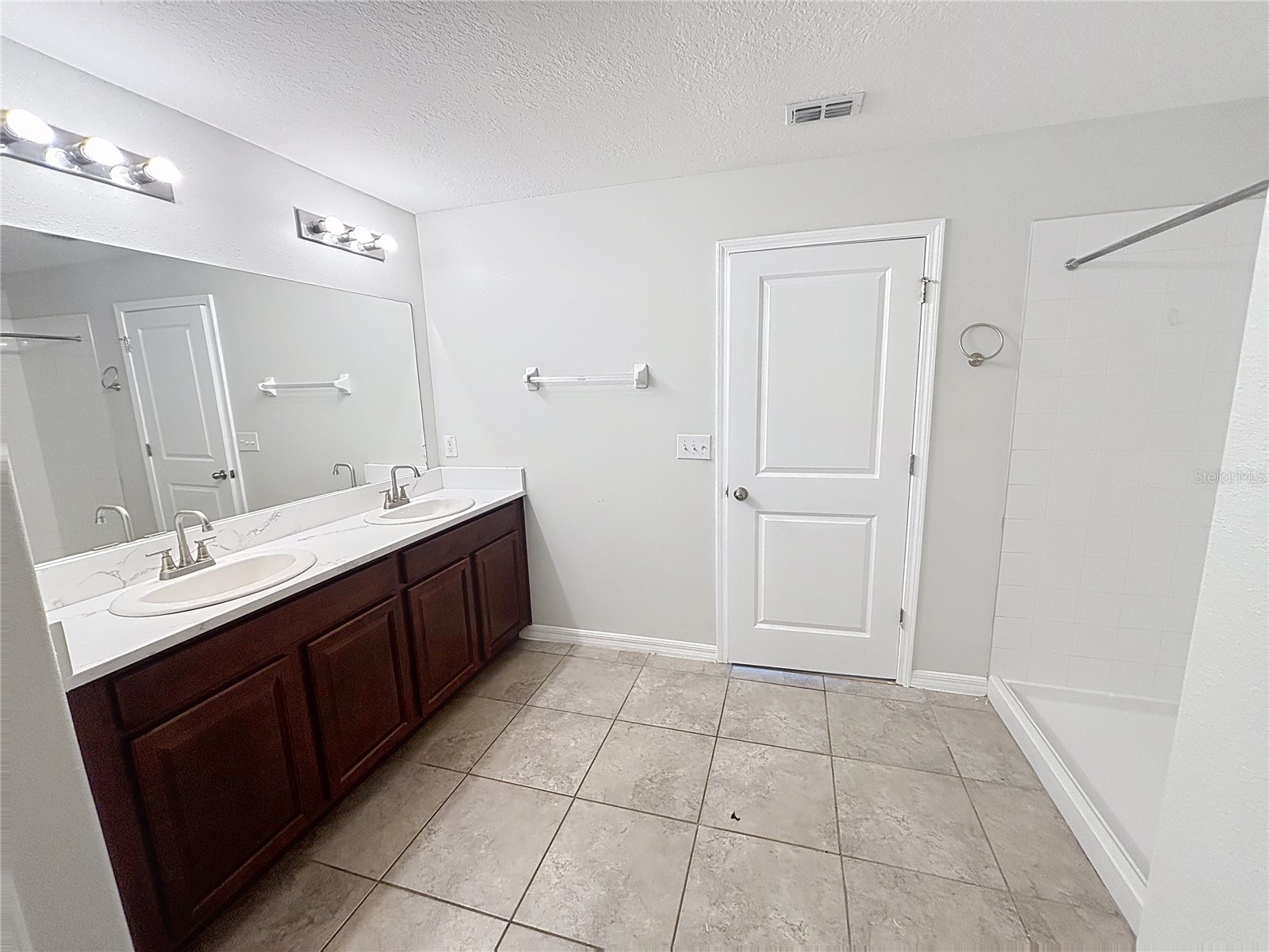 10241 Strawberry Tetra Drive Riverview FL 33578 TB8486724 image25