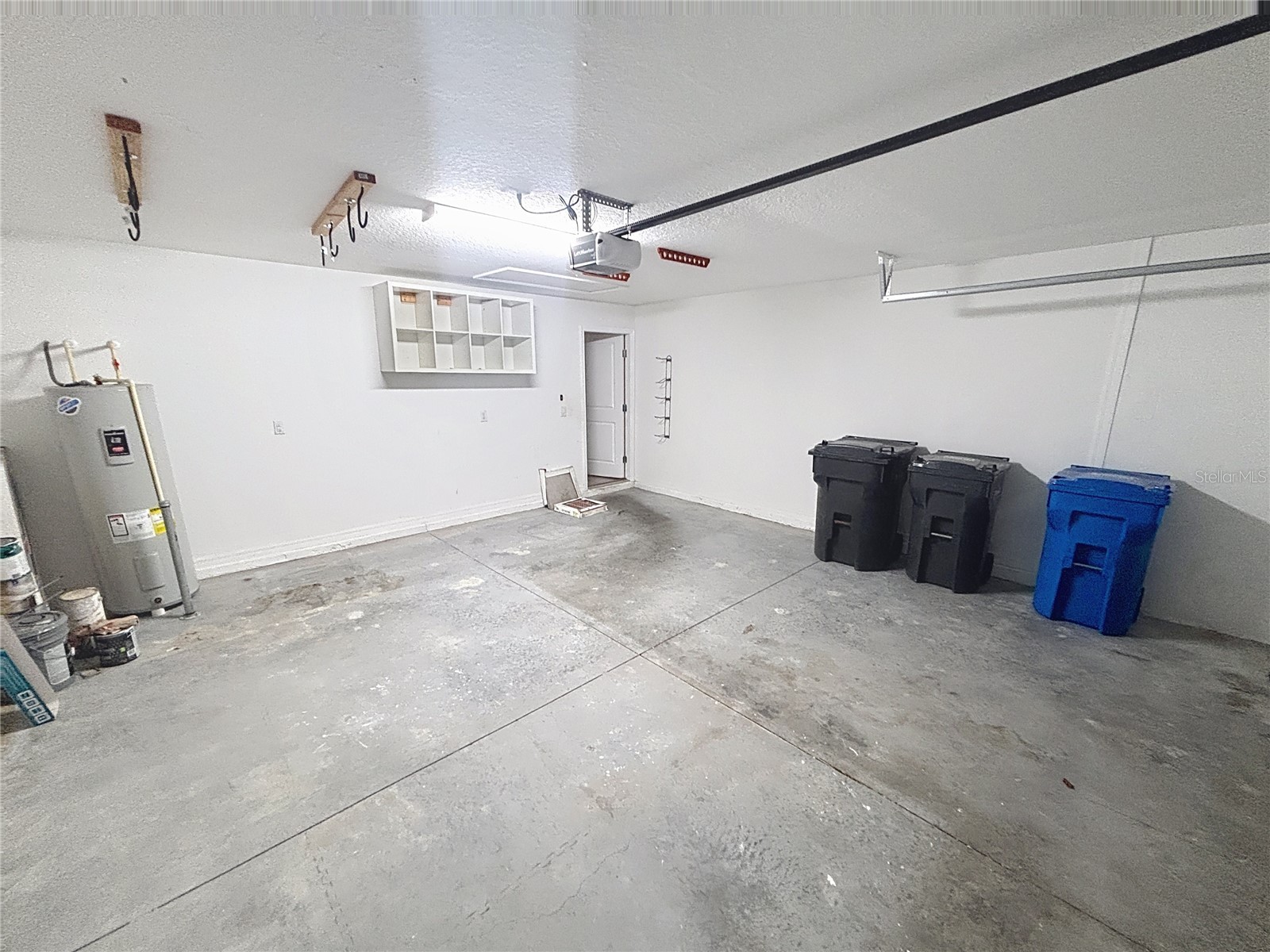 10241 Strawberry Tetra Drive Riverview FL 33578 TB8486724 image29