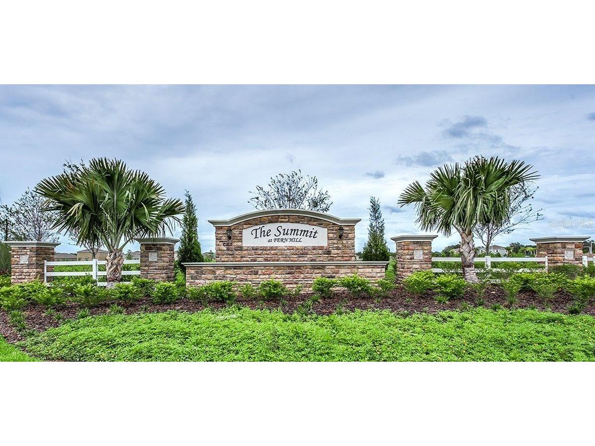 10241 Strawberry Tetra Drive Riverview FL 33578 TB8486724 image3