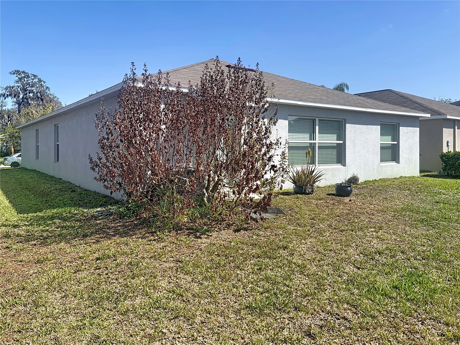 10241 Strawberry Tetra Drive Riverview FL 33578 TB8486724 image31