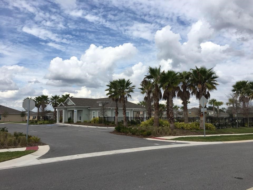 10241 Strawberry Tetra Drive Riverview FL 33578 TB8486724 image32