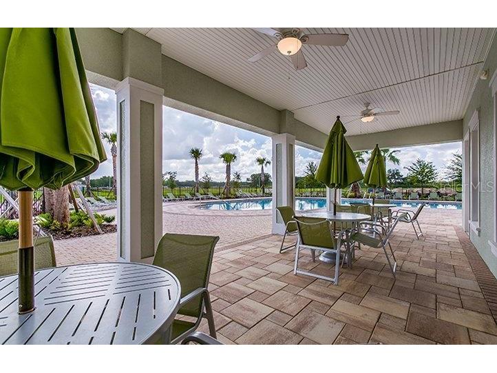 10241 Strawberry Tetra Drive Riverview FL 33578 TB8486724 image34