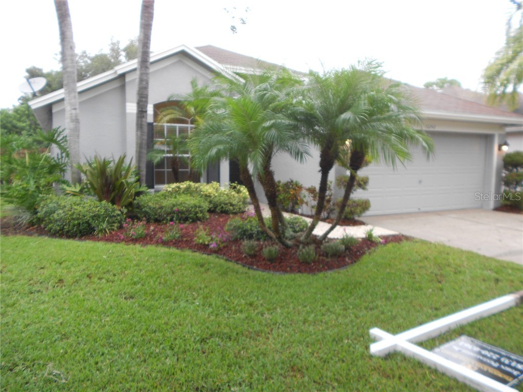 10242 Oasis Palm Drive Tampa FL 33615 T3374812 image1