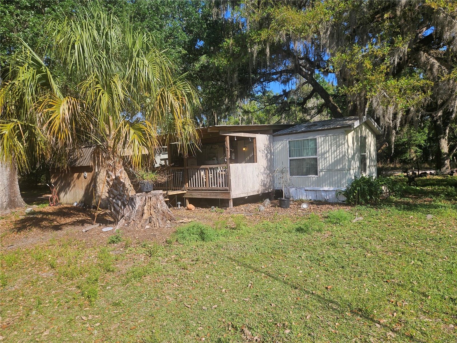 10242 Old Dade City Road Lakeland FL 33810 L4960758 image1