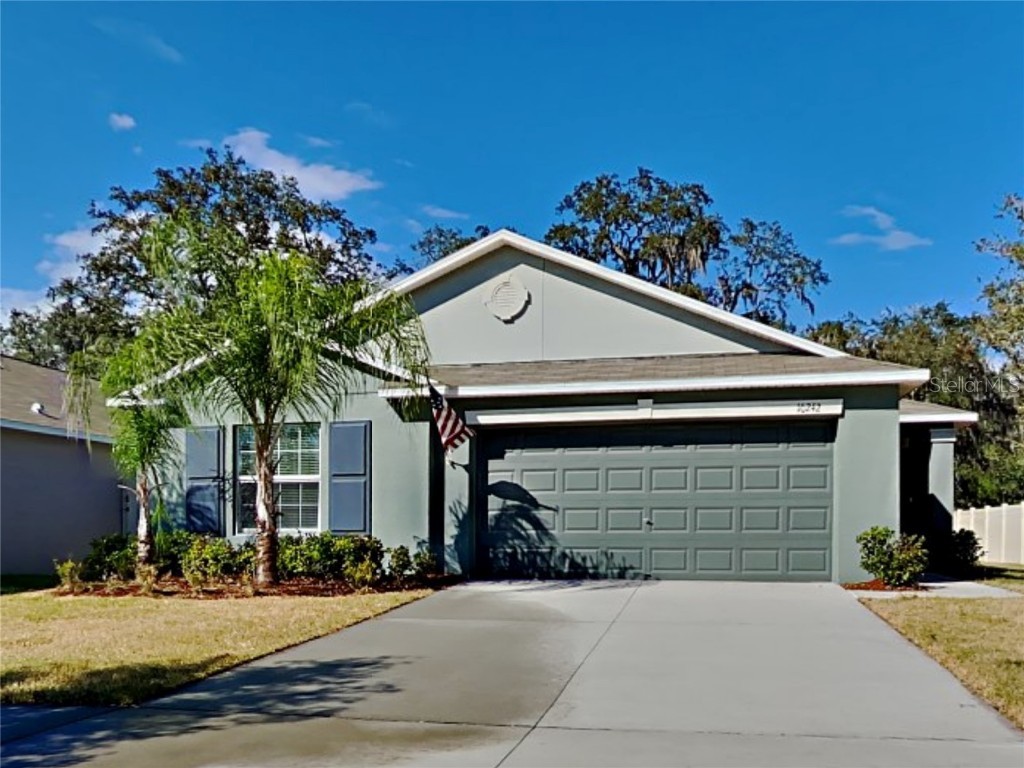 10242 Strawberry Tetra Drive Riverview FL 33578 T3411625 image1
