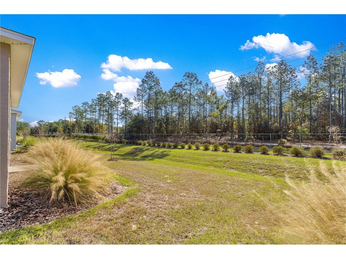 10242 SW 99th Lane Ocala FL 34481 OM714639 image50