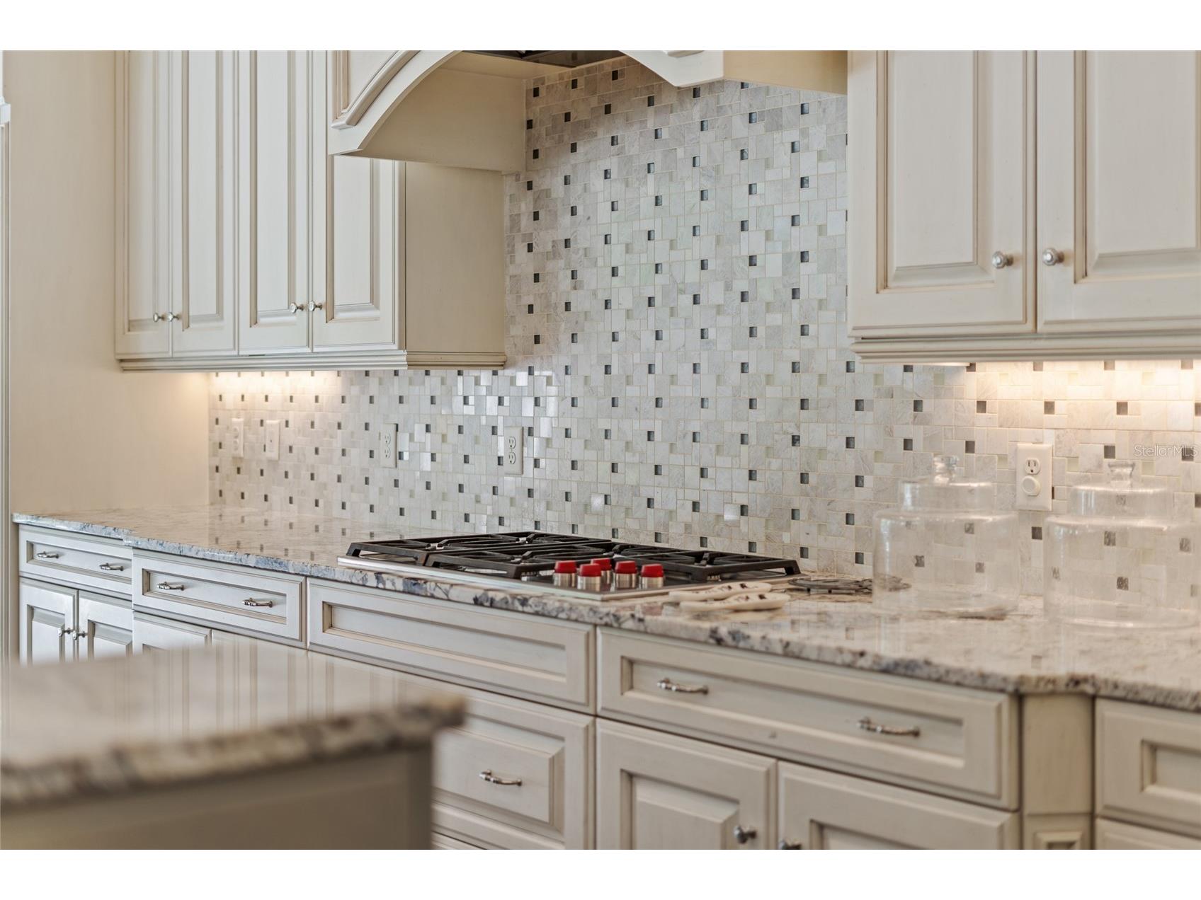 10243 Mattraw Place Orlando FL 32836 O6400001 image7