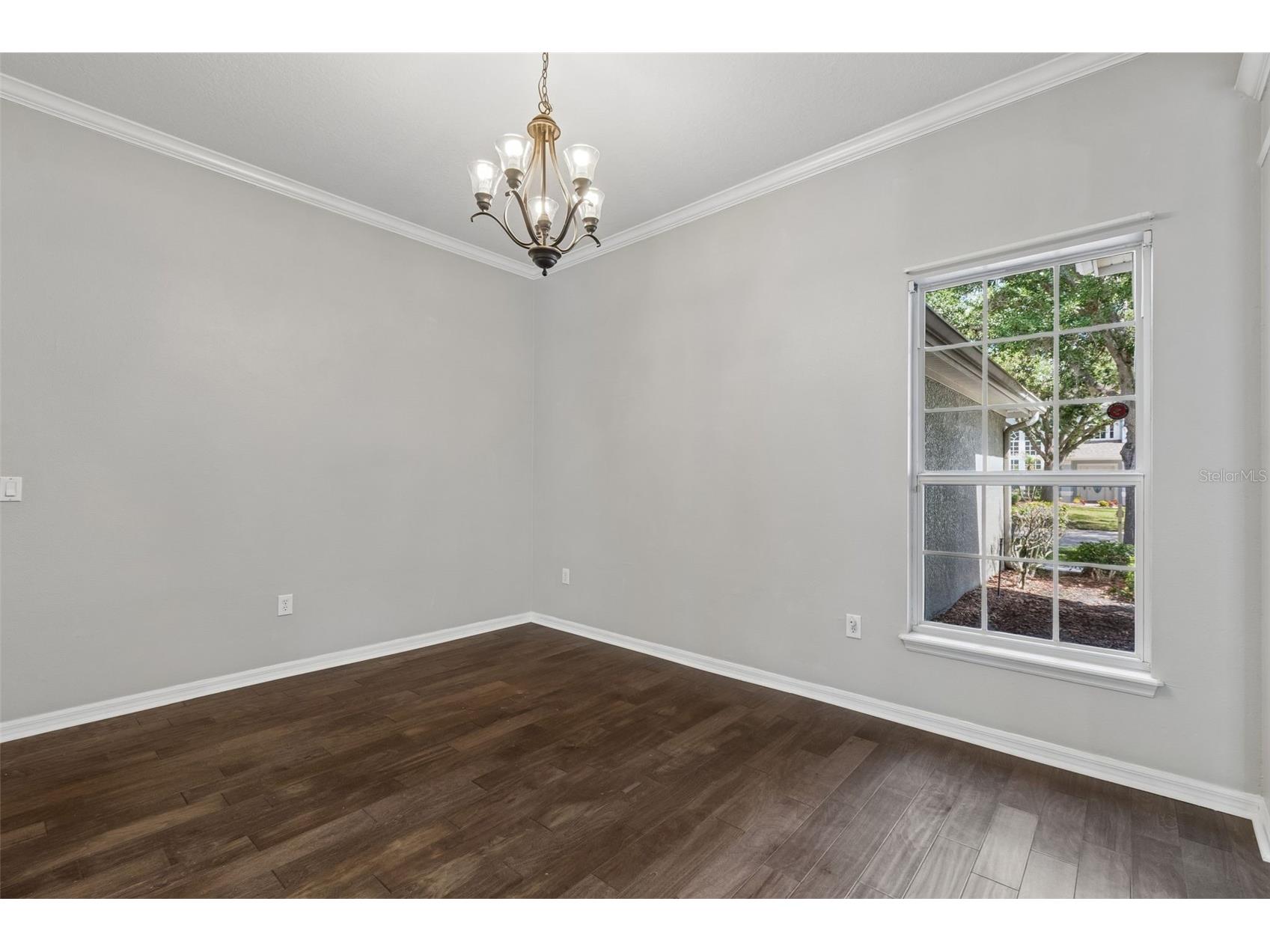 10243 Shadow Branch Drive Tampa FL 33647 TB8505934 image25