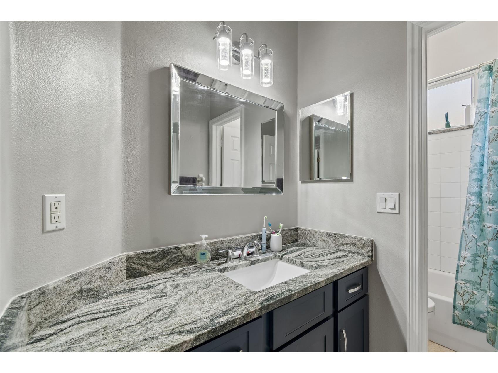 10243 Shadow Branch Drive Tampa FL 33647 TB8505934 image41
