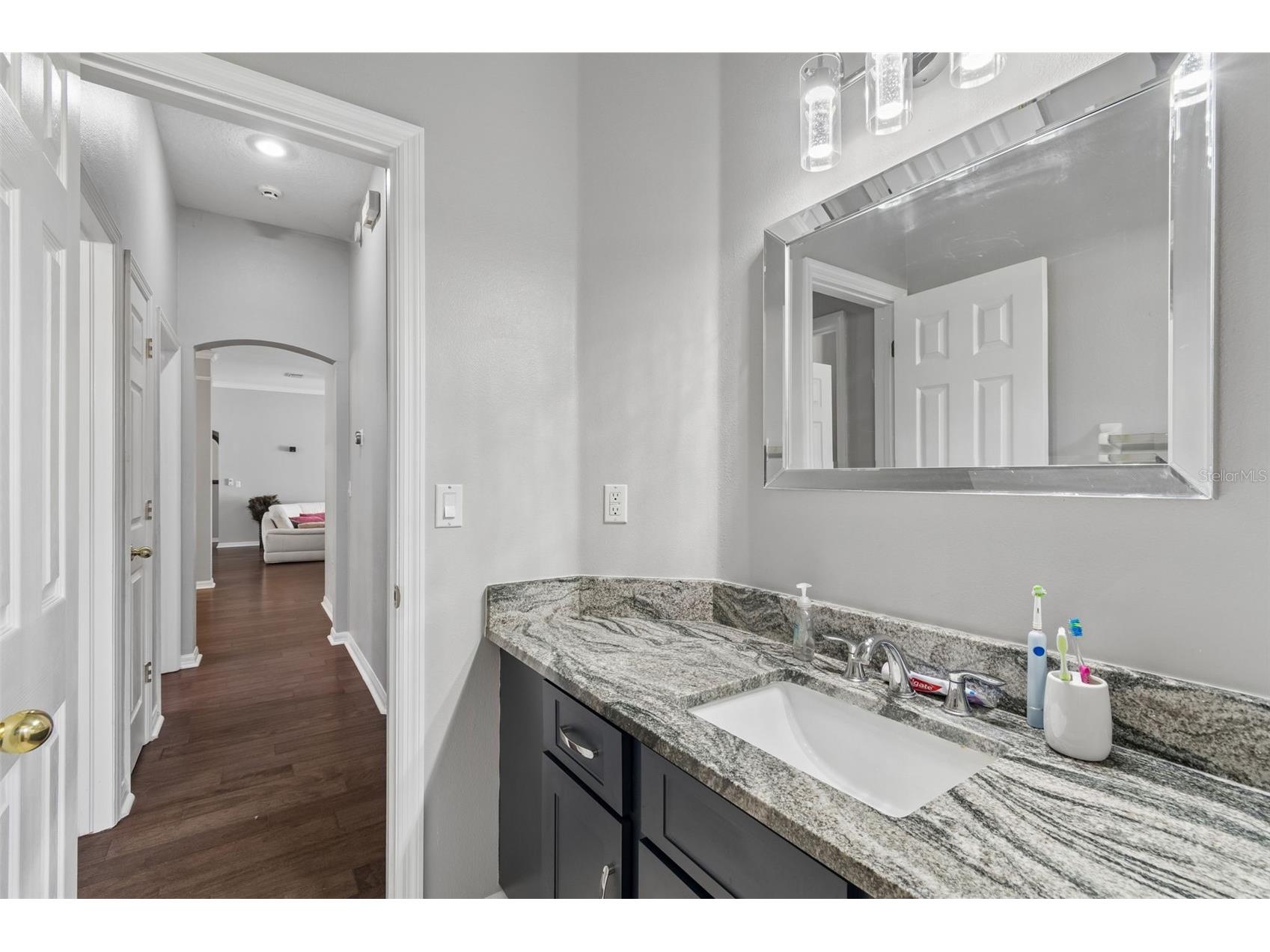 10243 Shadow Branch Drive Tampa FL 33647 TB8505934 image44