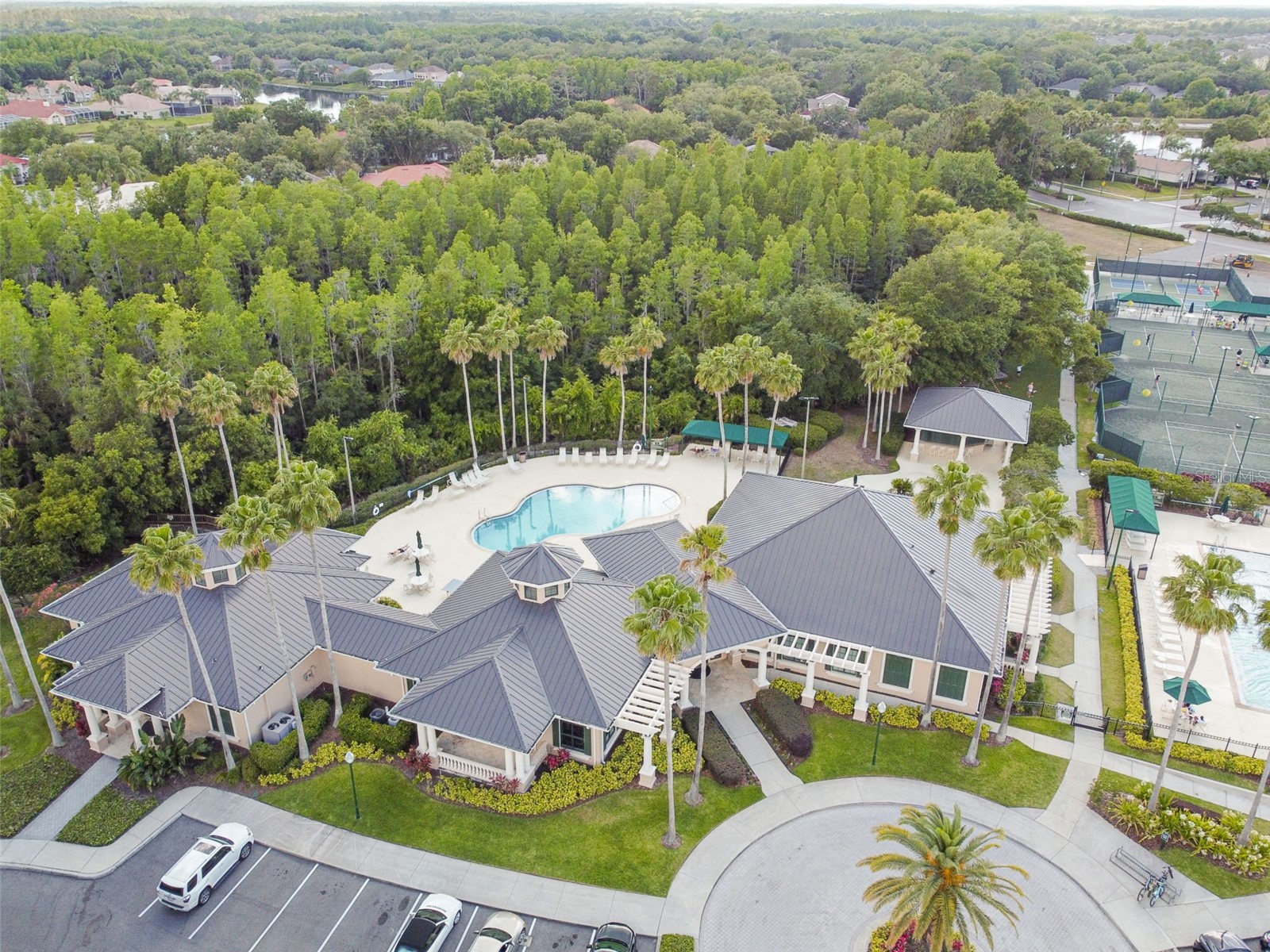 10243 Shadow Branch Drive Tampa FL 33647 TB8505934 image64