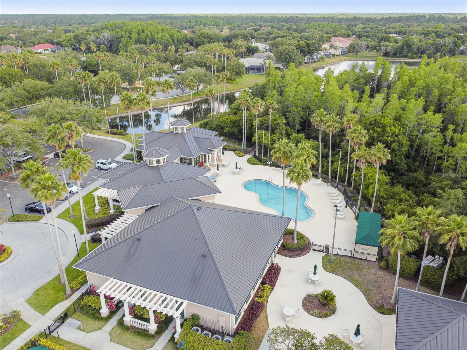 10243 Shadow Branch Drive Tampa FL 33647 TB8505934 image65