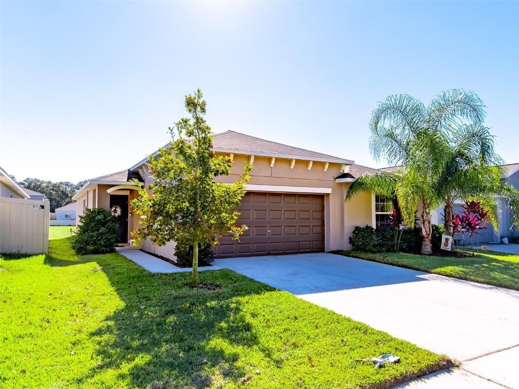 10243 Strawberry Tetra Drive Riverview FL 33578 T3504057 image1