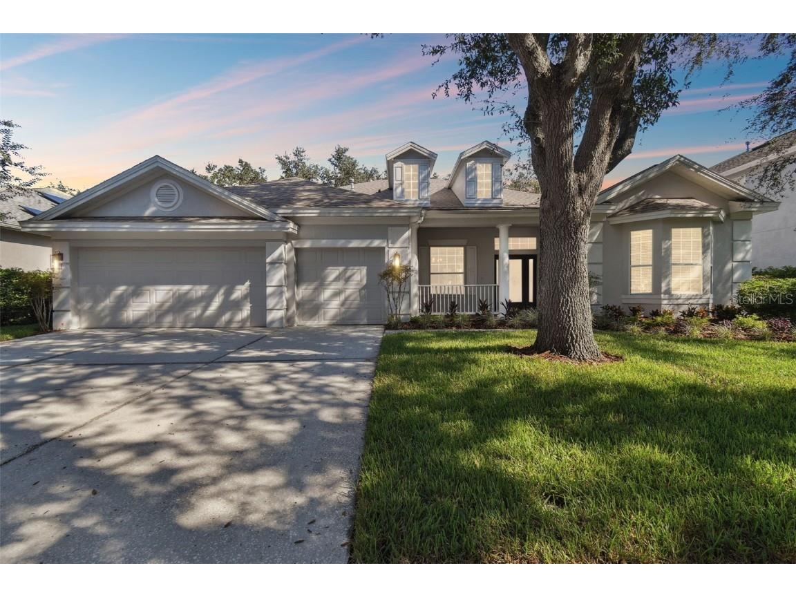 10244 Shadow Branch Drive Tampa FL 33647 TB8394150 image1
