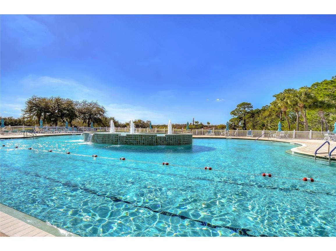 10245 Buncombe Way San Antonio FL 33576 TB8450477 image27