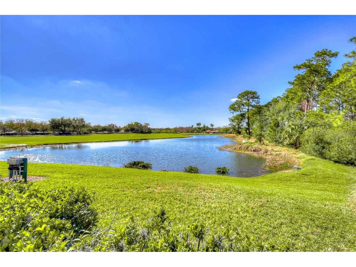 10245 Buncombe Way San Antonio FL 33576 TB8450477 image32