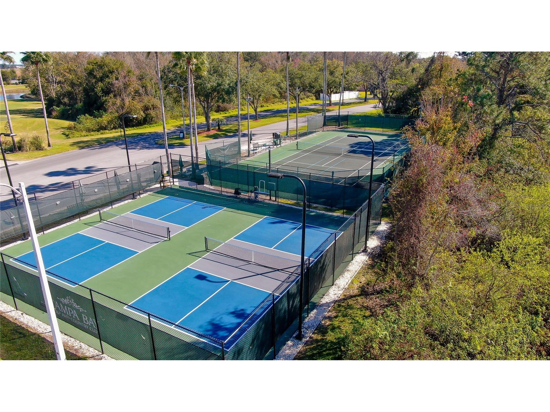 10245 Buncombe Way San Antonio FL 33576 TB8450477 image41