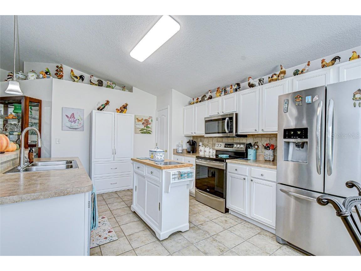 10245 Buncombe Way San Antonio FL 33576 TB8450477 image8