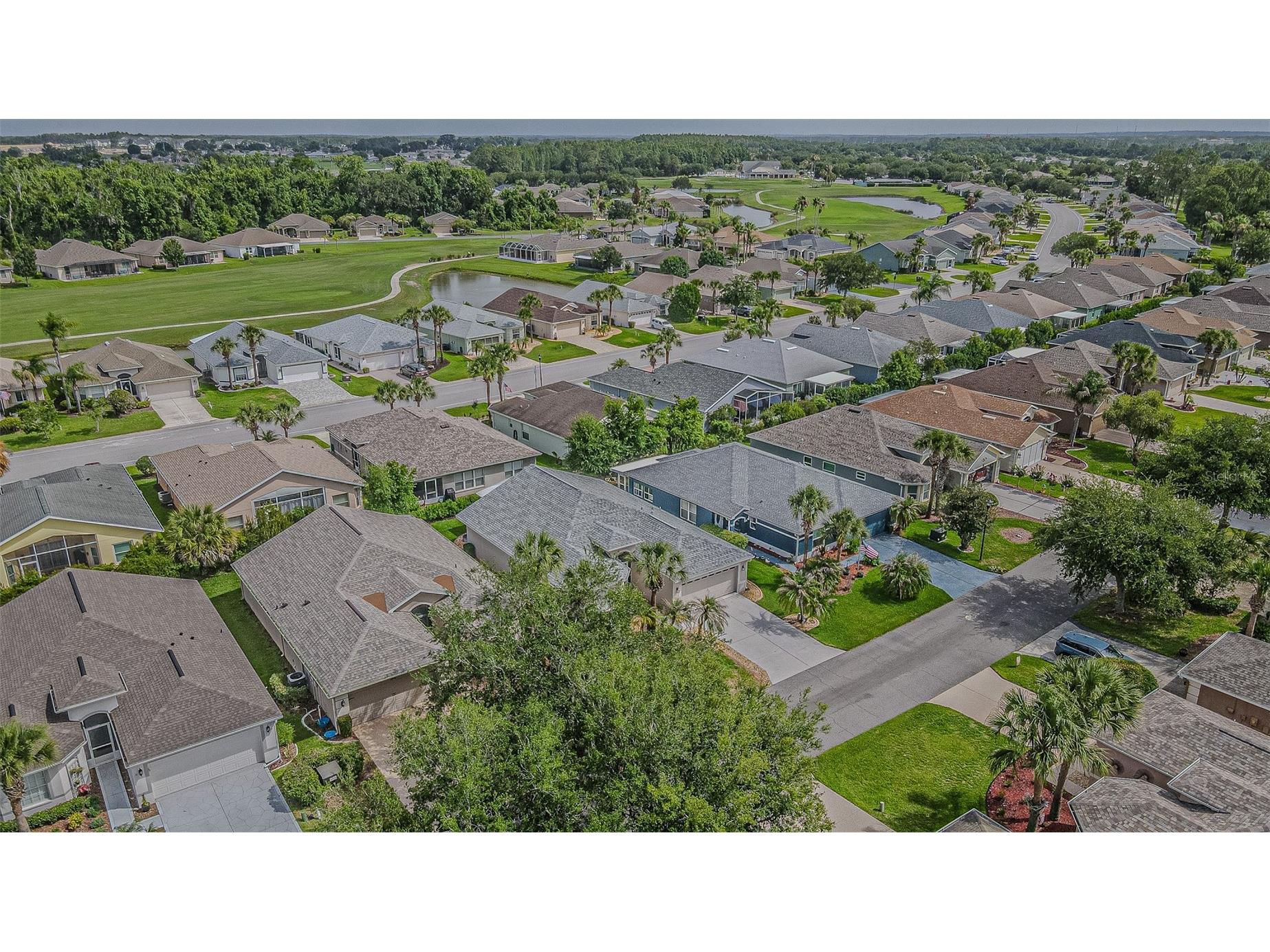10245 Buncombe Way San Antonio FL 33576 TB8506692 image28