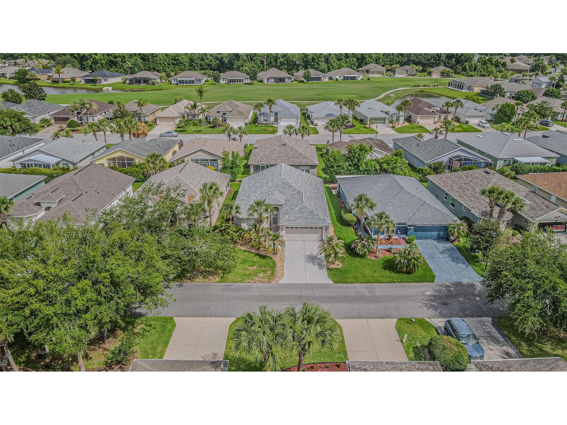 10245 Buncombe Way San Antonio FL 33576 TB8506692 image34