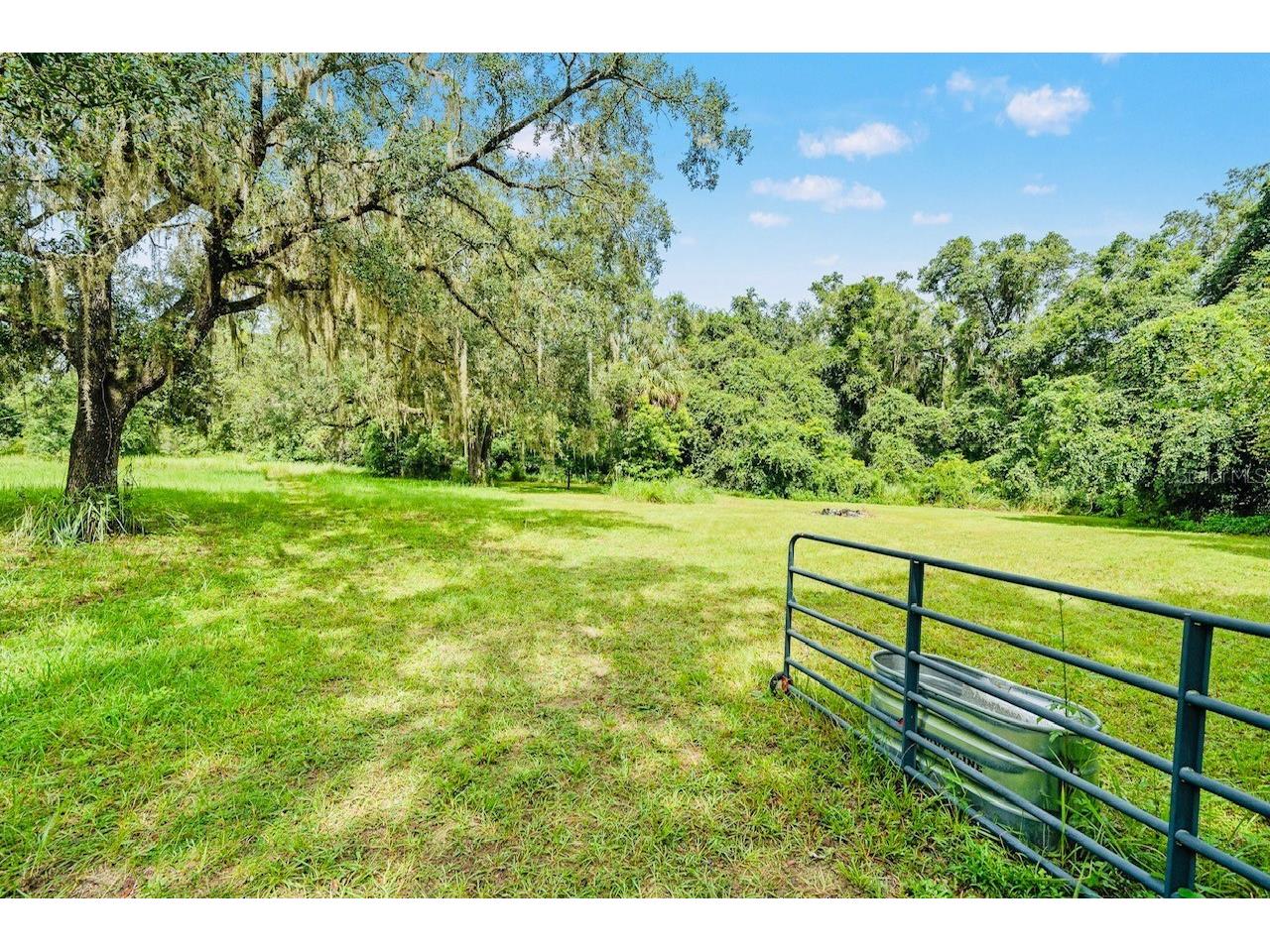10245 E Trails End Road Floral City FL 34436 W7885169 image8