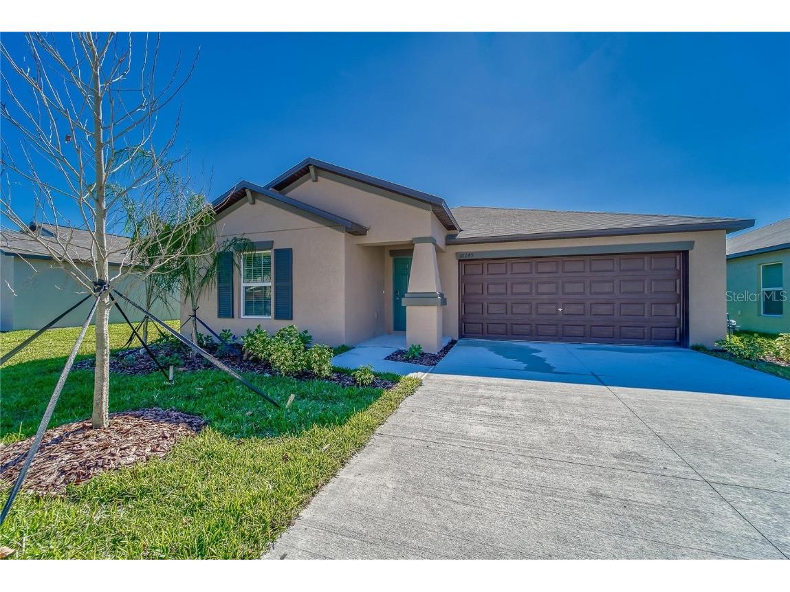 10245 Shady Preserve Drive Riverview FL 33578 TB8390794 image1