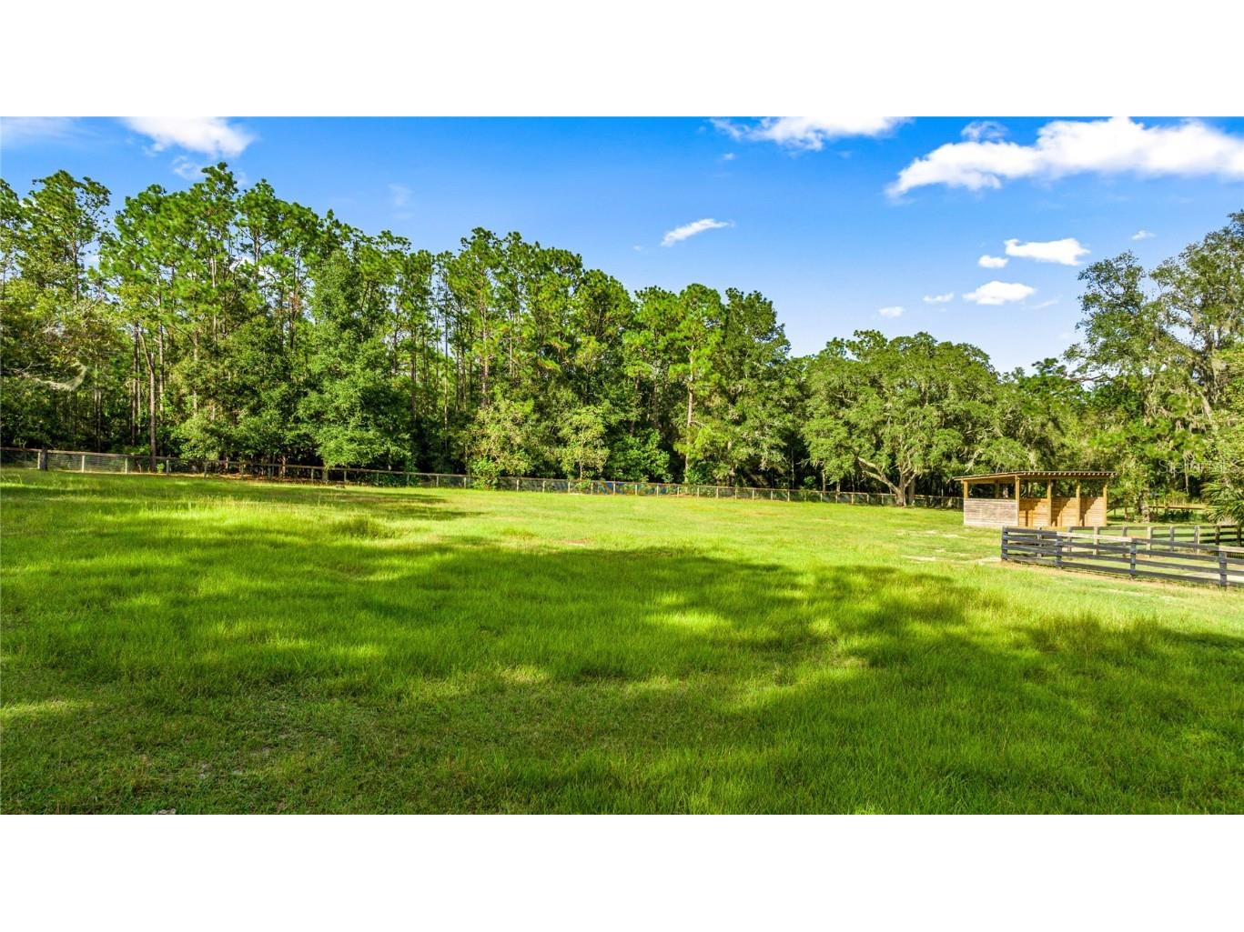 10245 SW 105th Street Ocala FL 34481 OM712527 image53