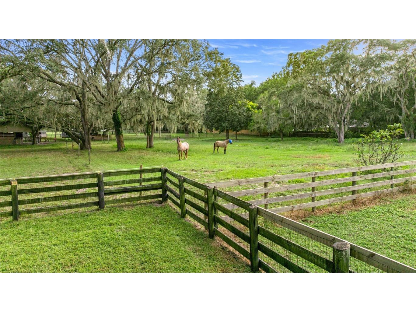 10245 SW 105th Street Ocala FL 34481 OM712527 image64