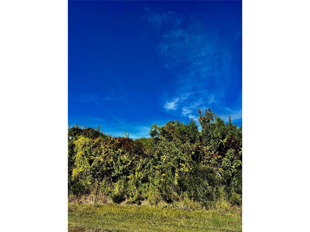 10245 Winstead Avenue Englewood FL 34224 A4674290 image2