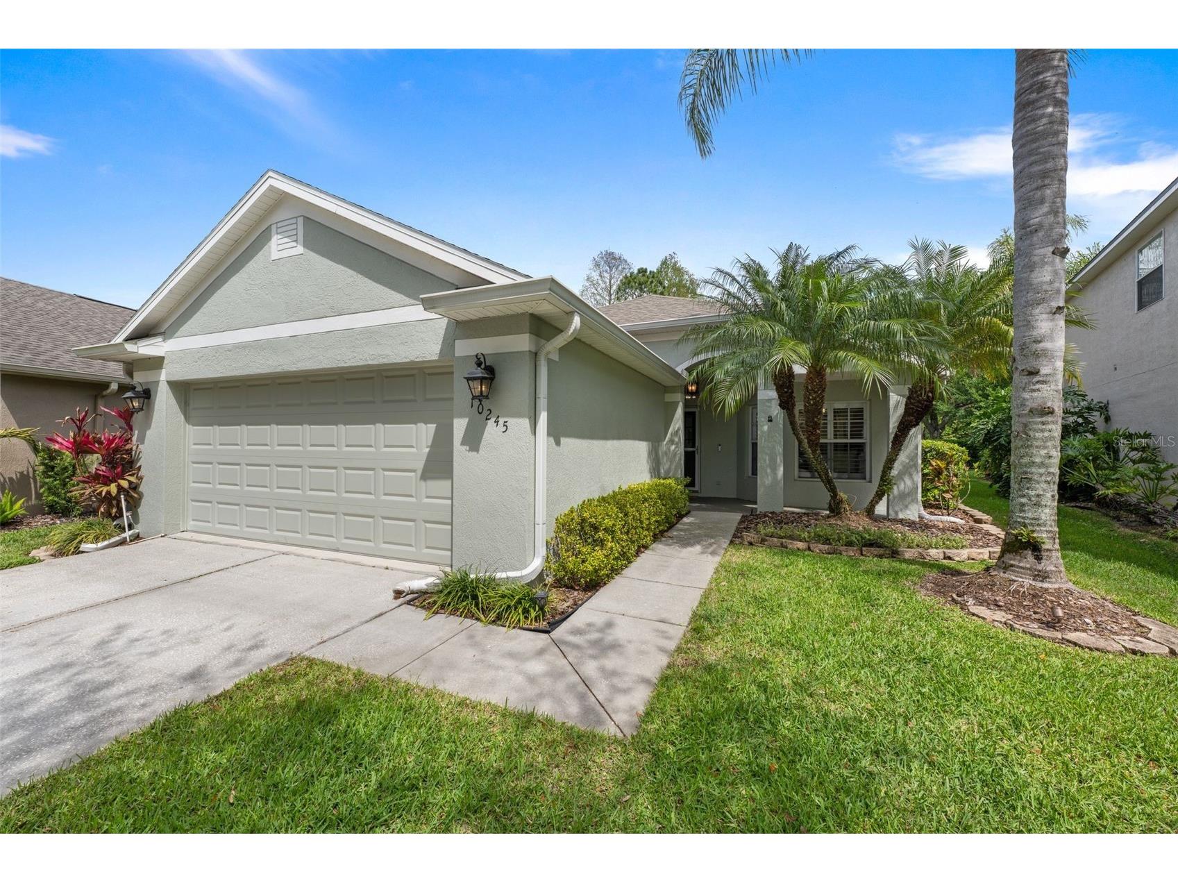 10245 Woodford Bridge Street Tampa FL 33626 TB8492918 image1