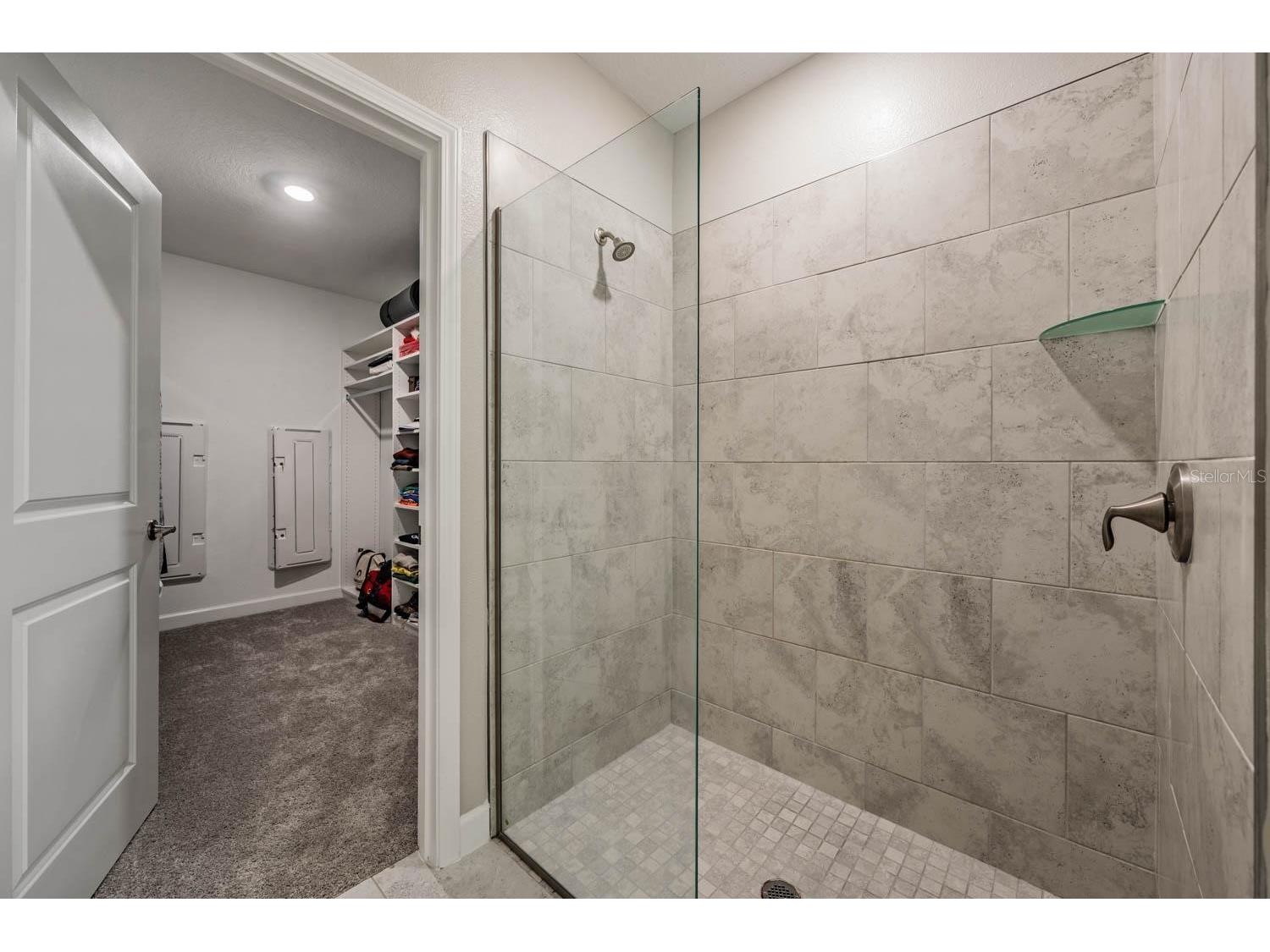 10246 Echo Dock Loop San Antonio FL 33576 TB8505406 image15