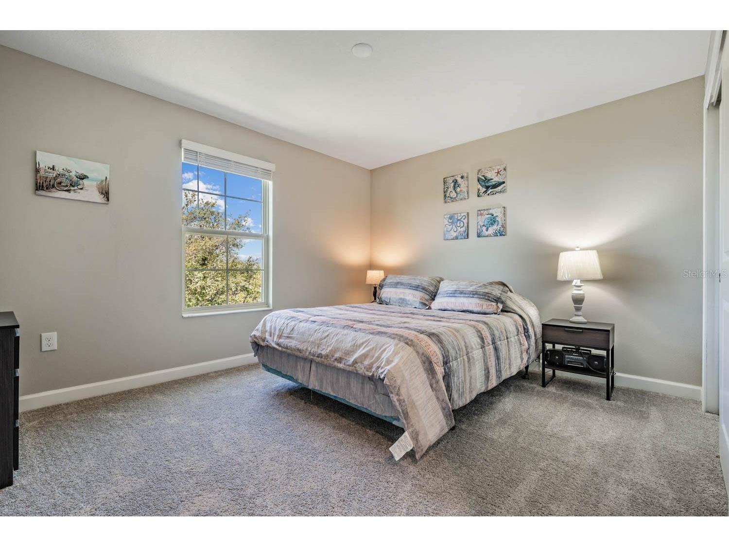 10246 Echo Dock Loop San Antonio FL 33576 TB8505406 image24