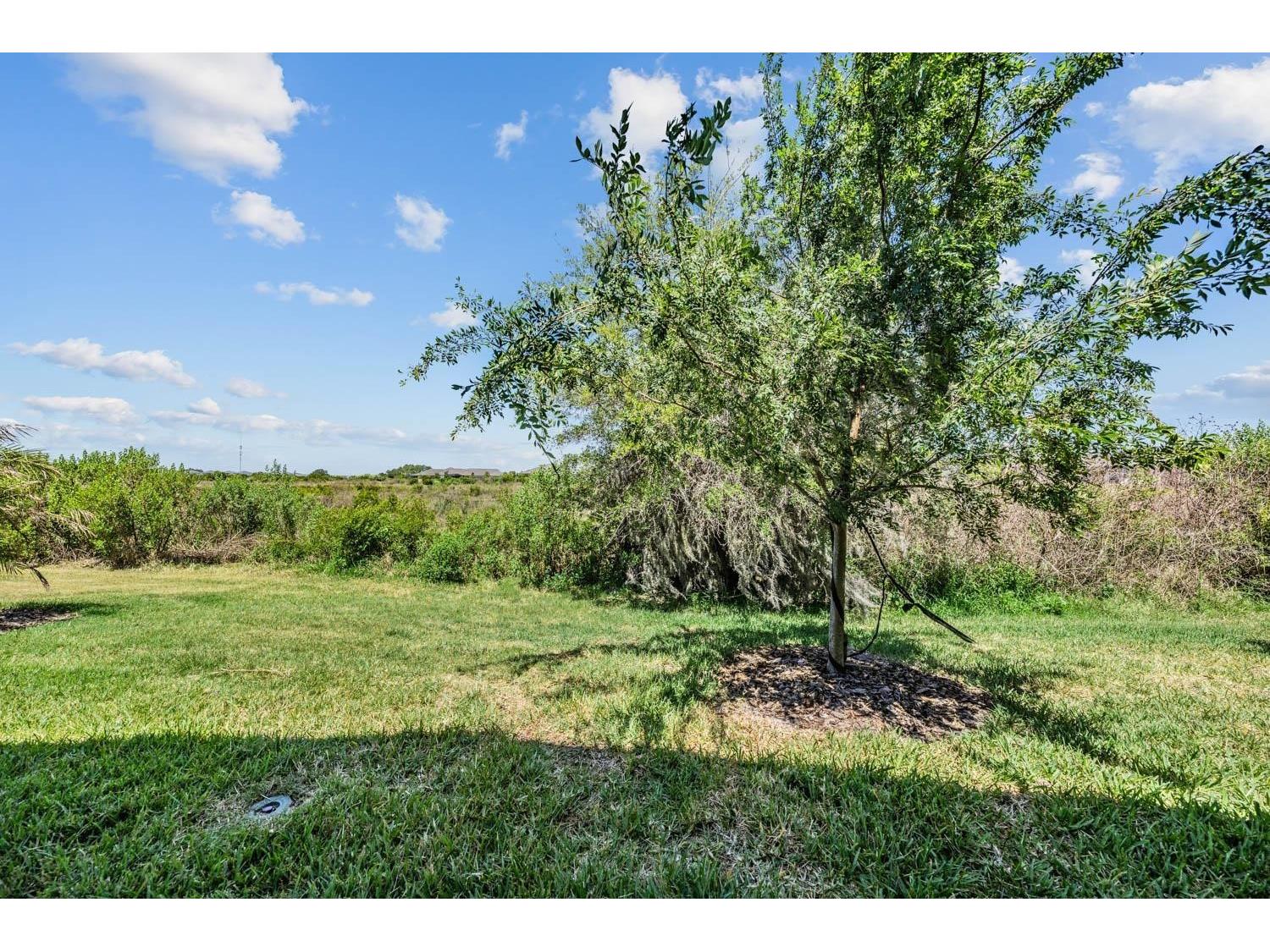 10246 Echo Dock Loop San Antonio FL 33576 TB8505406 image26