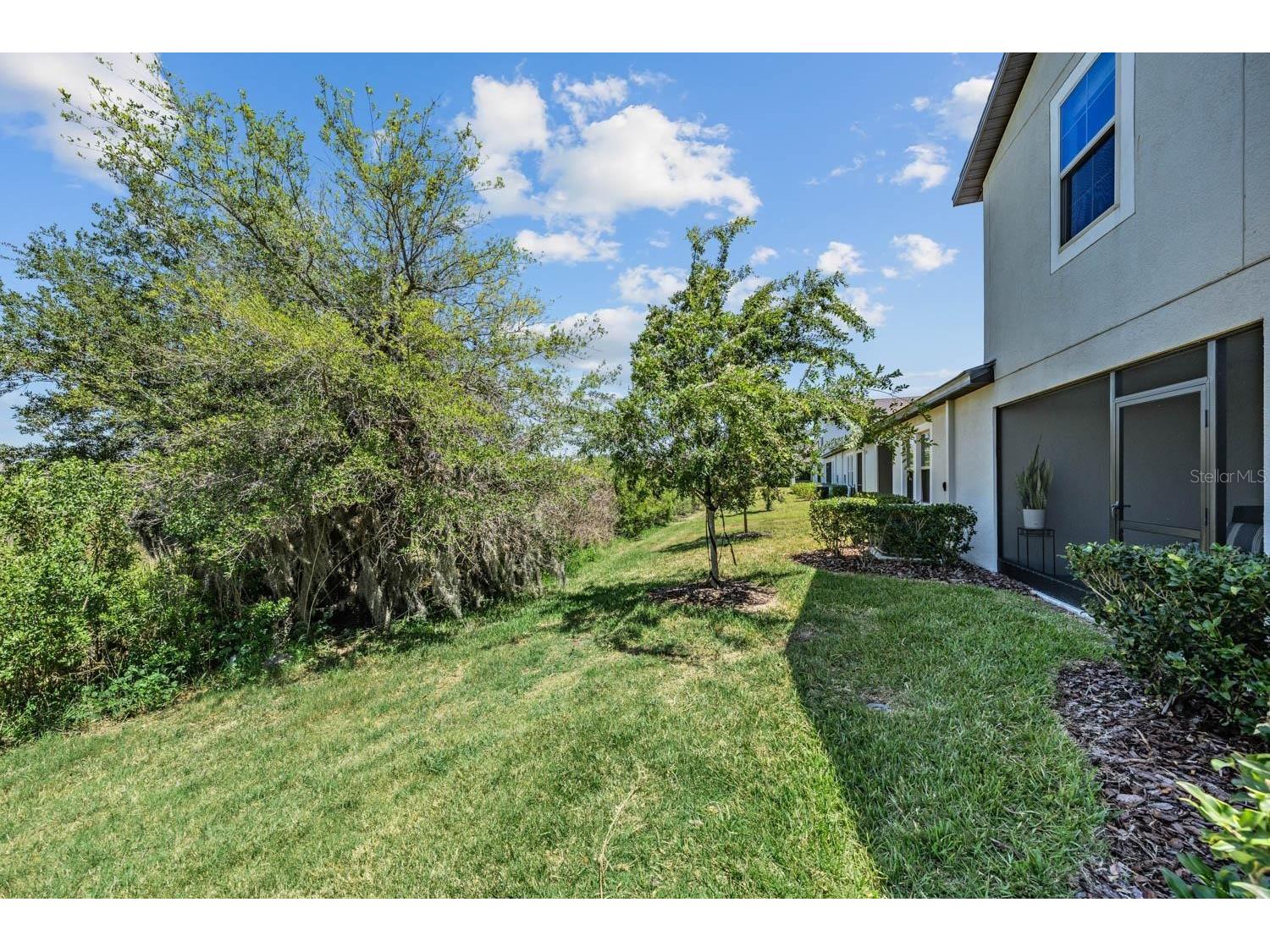 10246 Echo Dock Loop San Antonio FL 33576 TB8505406 image27