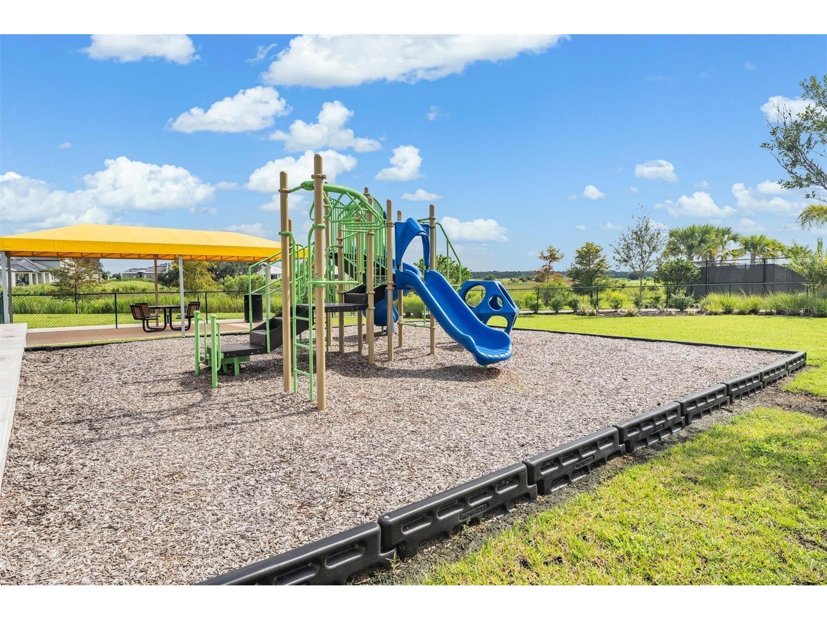 10246 Echo Dock Loop San Antonio FL 33576 TB8505406 image81