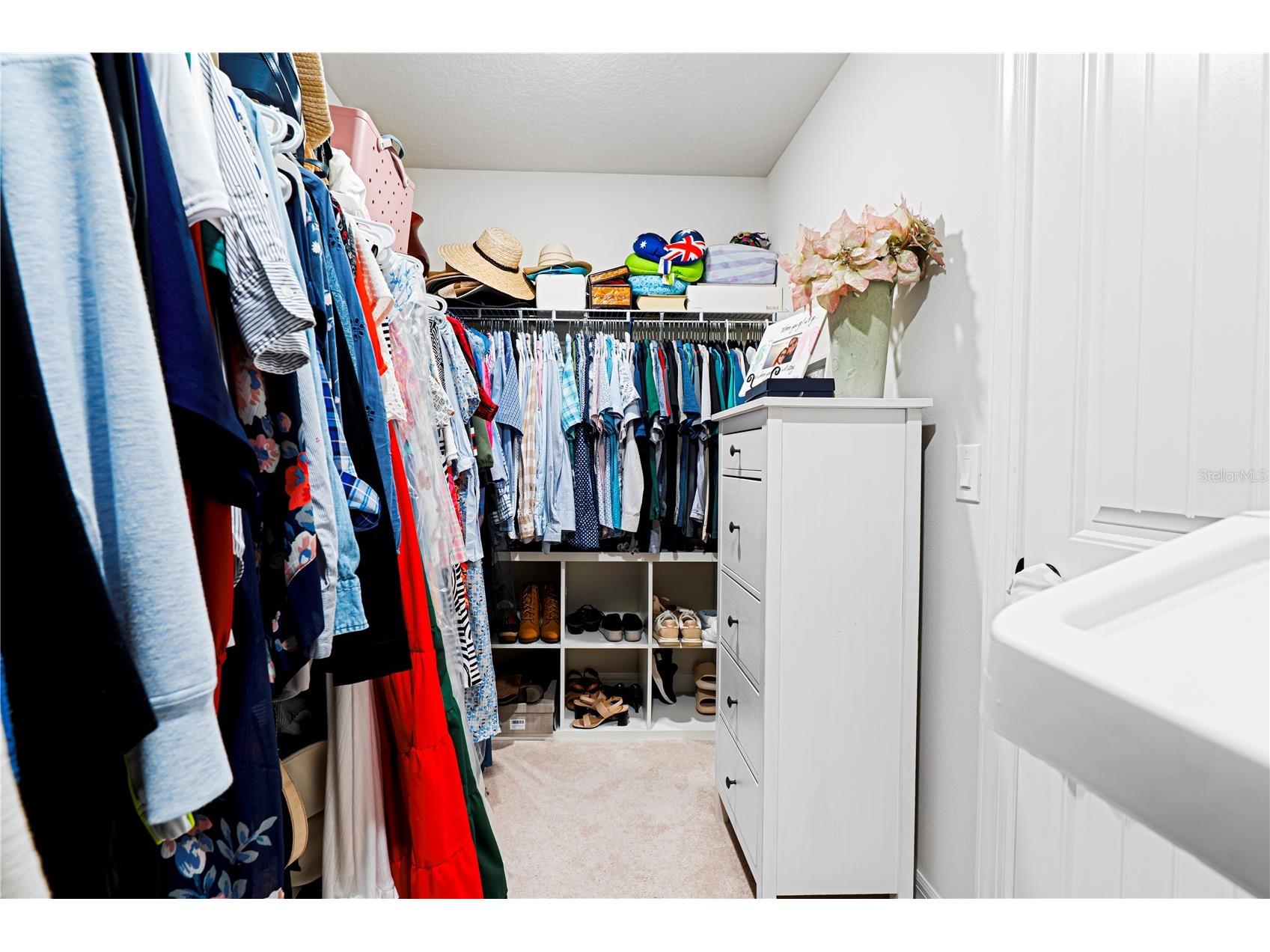 10246 Park Estates Avenue Orlando FL 32836 O6385321 image37