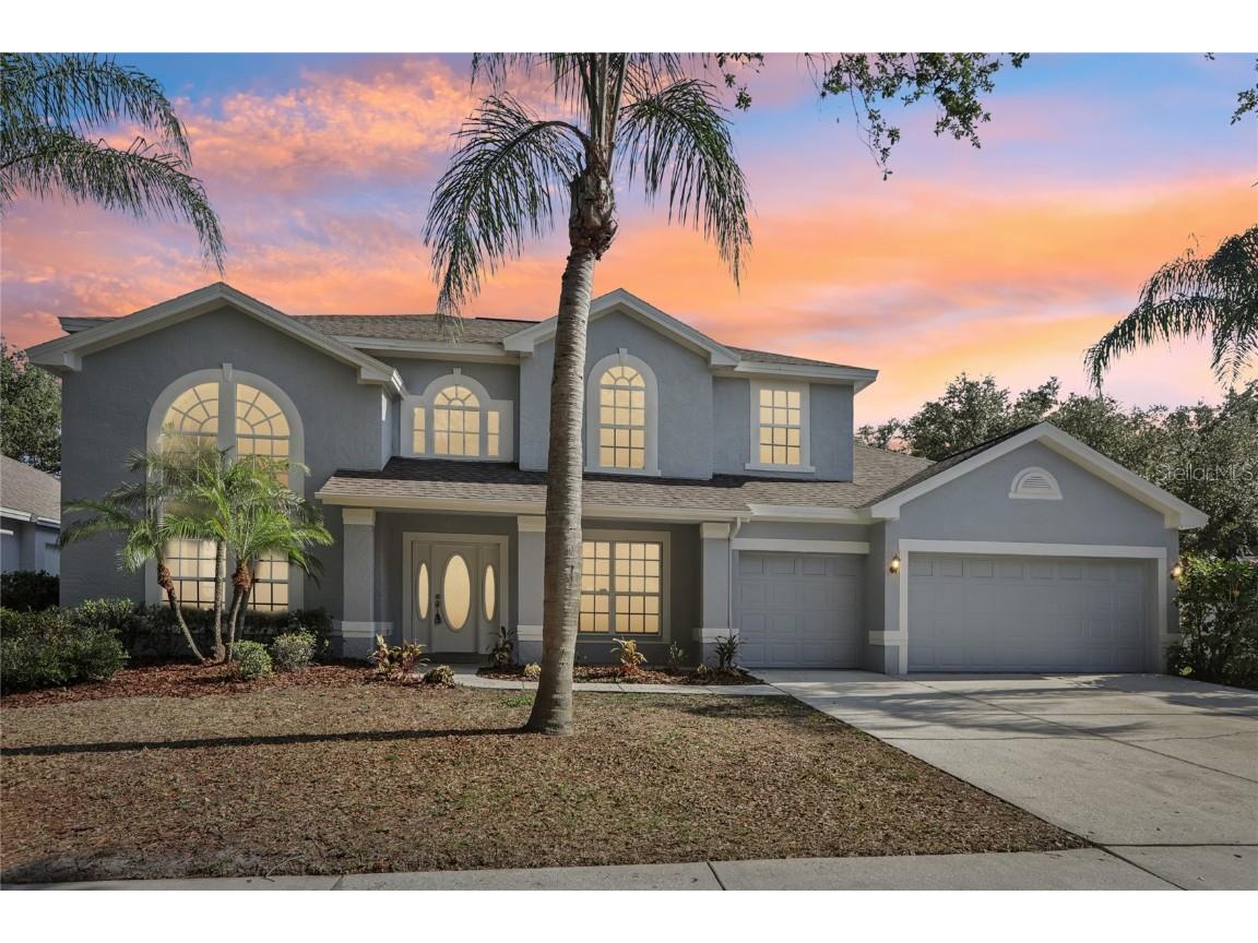 10246 Shadow Branch Drive Tampa FL 33647 T3530532 image1