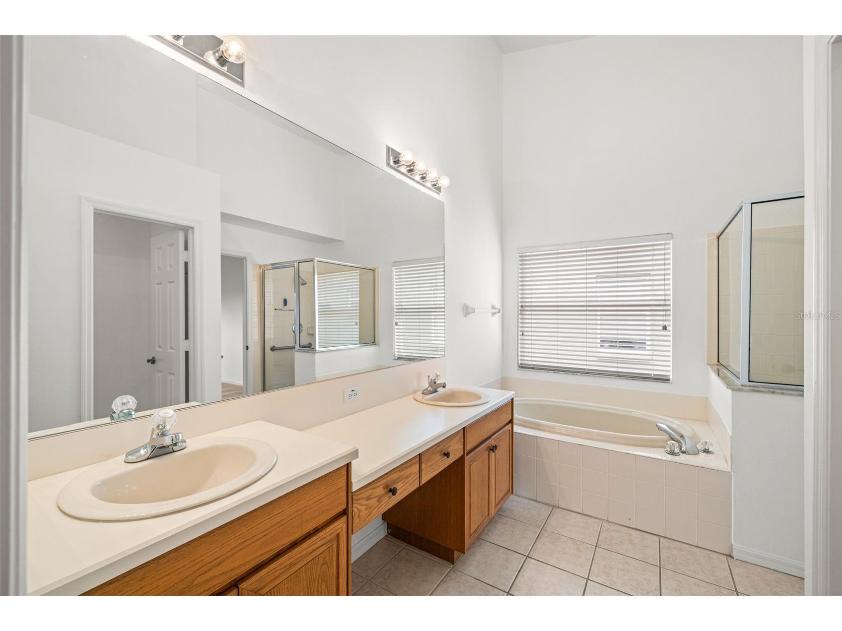 10246 Timberland Point Dr Tampa FL 33647 TB8475779 image19