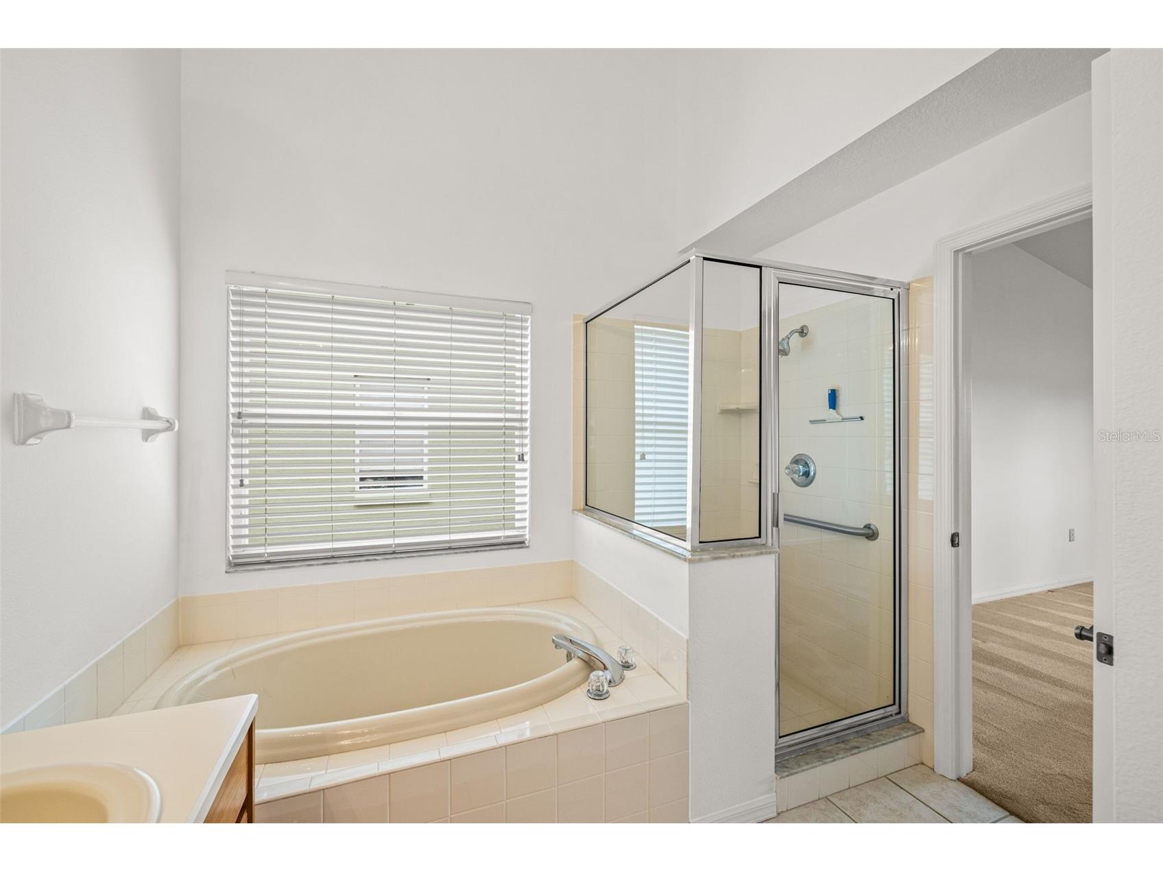 10246 Timberland Point Dr Tampa FL 33647 TB8475779 image20