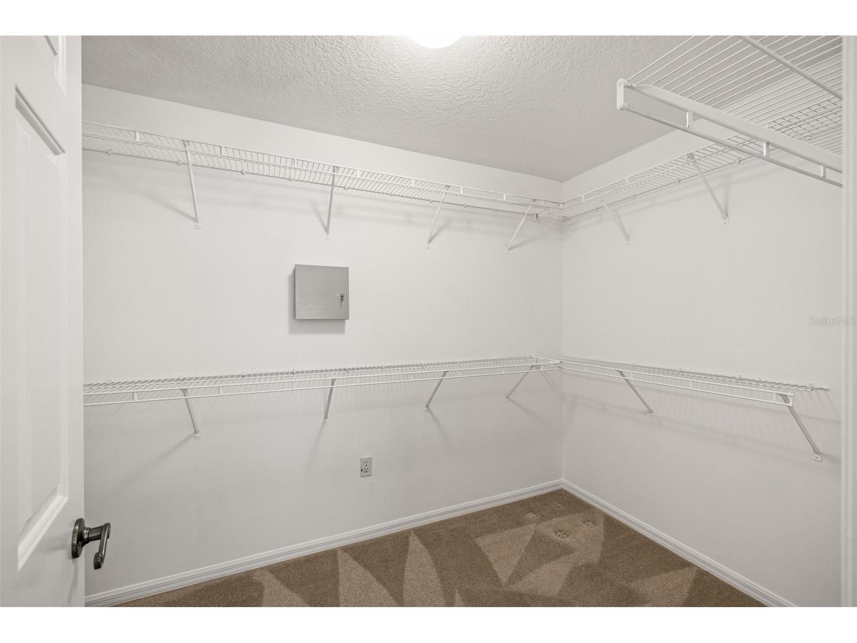 10246 Timberland Point Dr Tampa FL 33647 TB8475779 image21