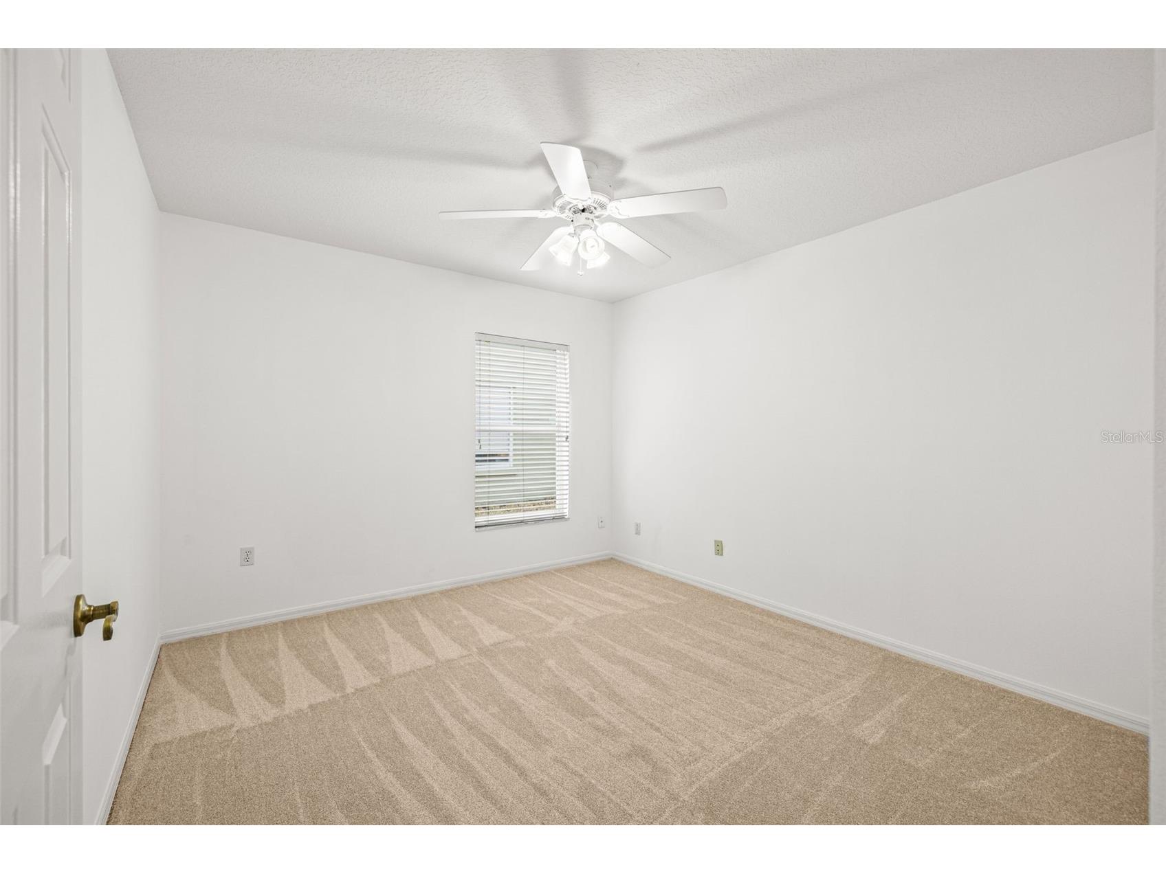 10246 Timberland Point Dr Tampa FL 33647 TB8475779 image24