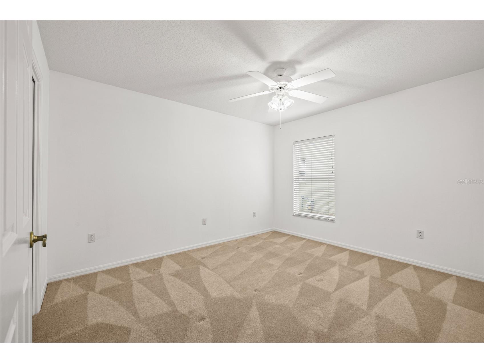 10246 Timberland Point Dr Tampa FL 33647 TB8475779 image27