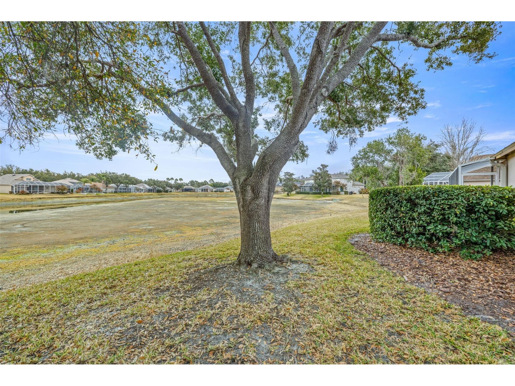 10246 Timberland Point Dr Tampa FL 33647 TB8475779 image34