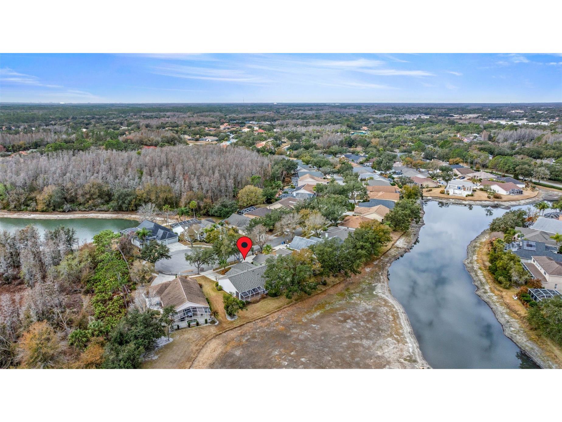 10246 Timberland Point Dr Tampa FL 33647 TB8475779 image37