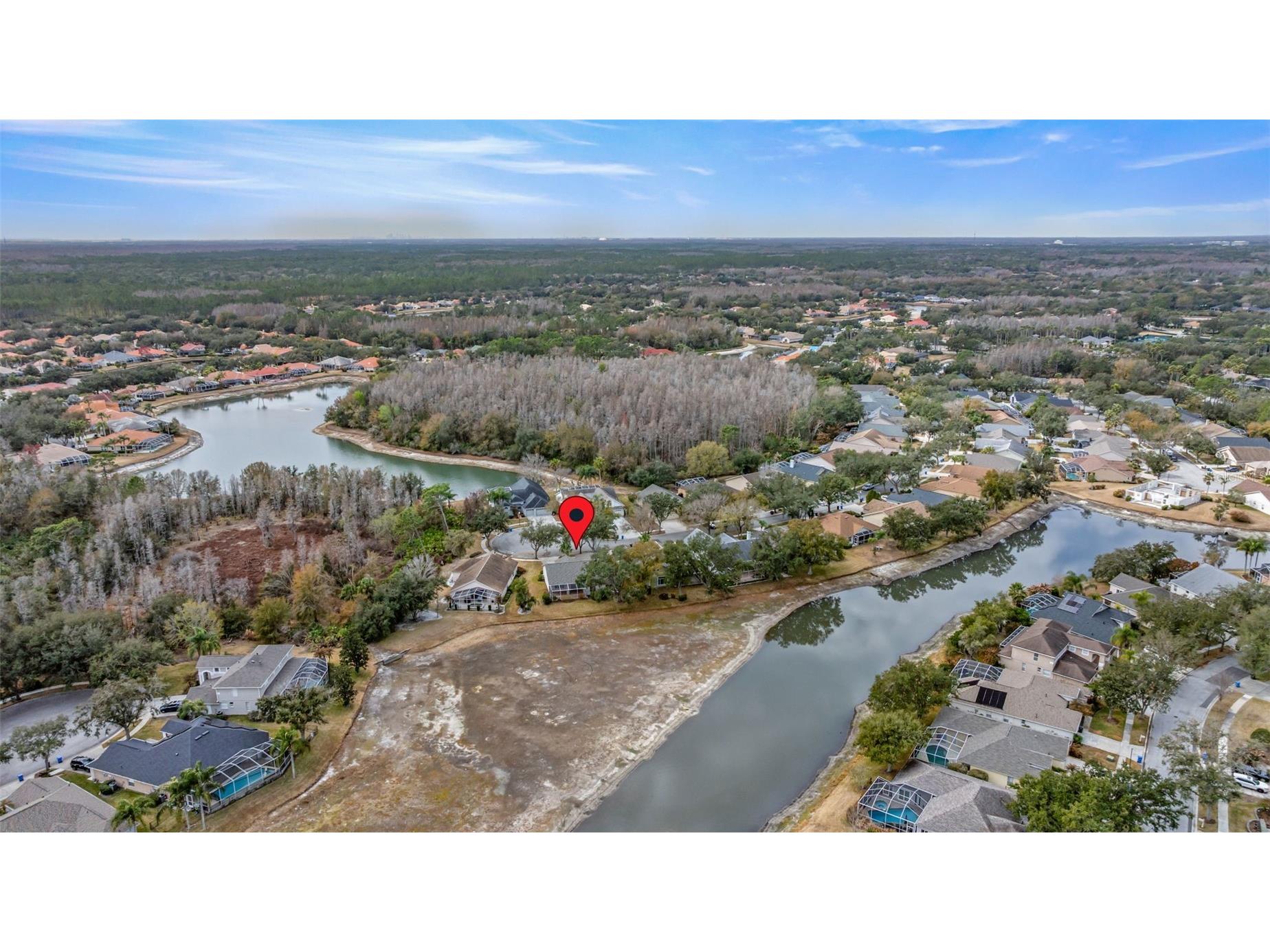 10246 Timberland Point Dr Tampa FL 33647 TB8475779 image38