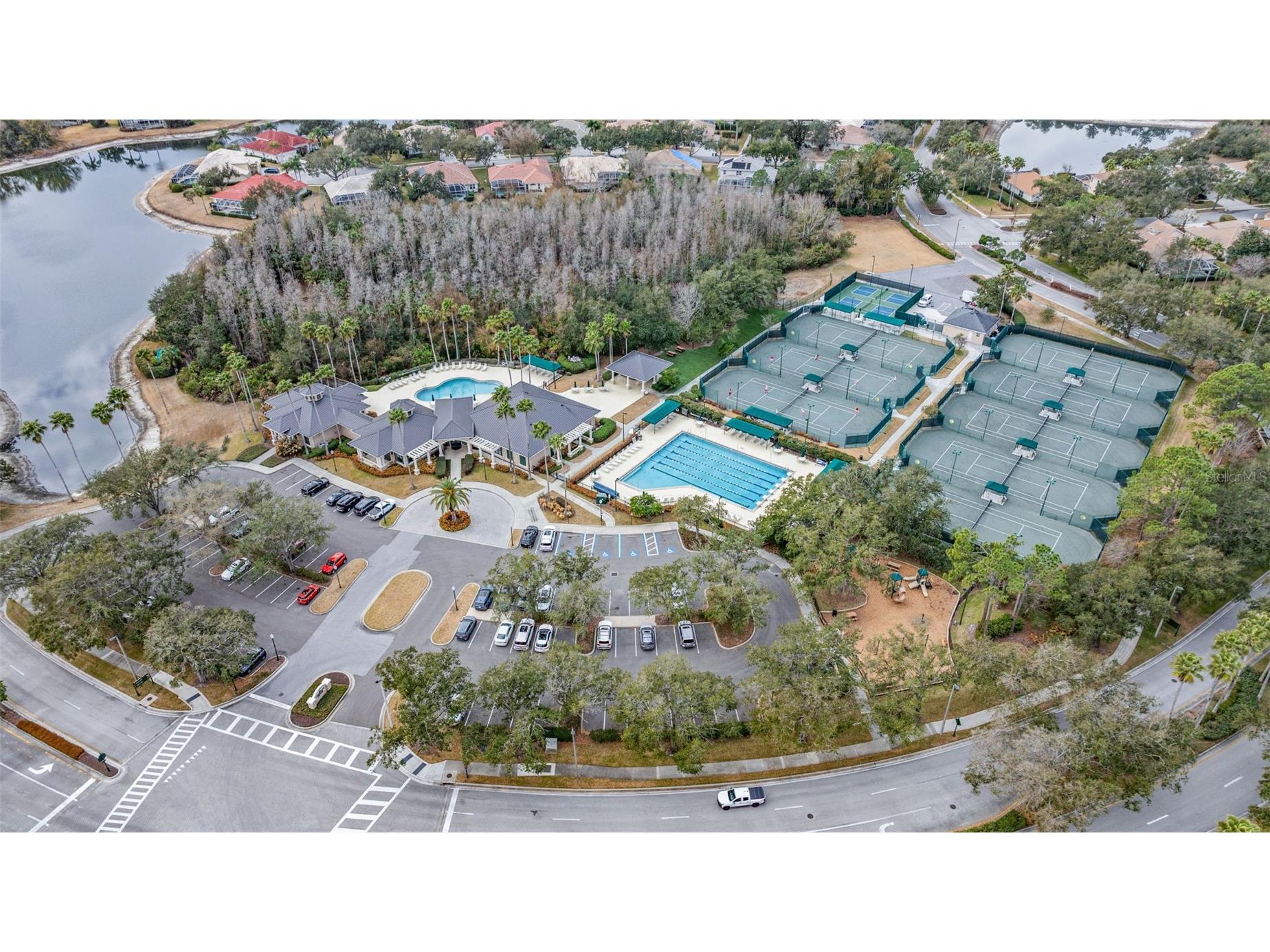 10246 Timberland Point Dr Tampa FL 33647 TB8475779 image40